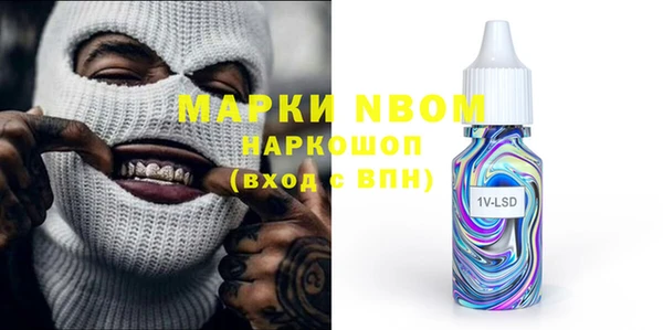 прущие грибы Каменка