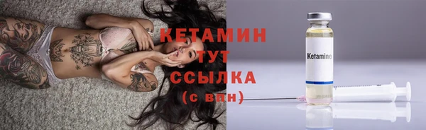 прущие грибы Каменка