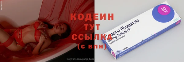 прущие грибы Каменка