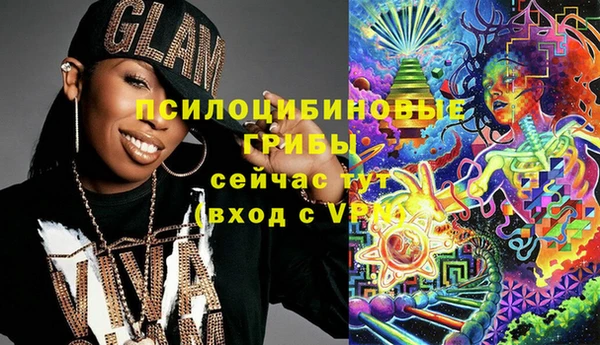 прущие грибы Каменка