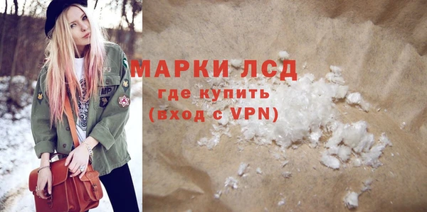 прущие грибы Каменка