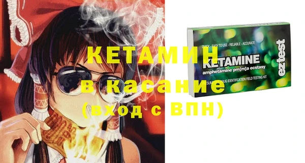 прущие грибы Каменка