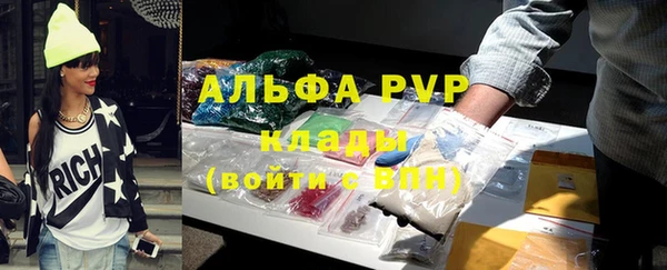 сатива Каменск-Шахтинский