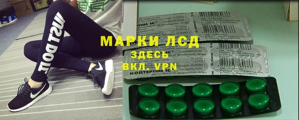 прущие грибы Каменка