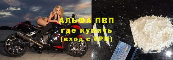 прущие грибы Каменка