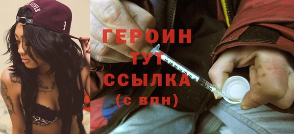 прущие грибы Каменка